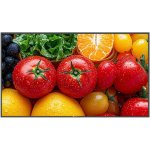 AG Neovo QM-5503 – Zboží Živě