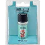 Bridgewater Candle Company Vonný olej Melon Pop 10 ml – Zboží Dáma