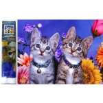 Norimpex Diamantové malování Dvě koťata 30 x 40 cm – Hledejceny.cz