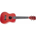 Tanglewood TWT 3 – Zbozi.Blesk.cz