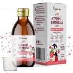 Blendea KIDS Sirup s vitaminy, minerály a beta glukany 150 ml – Hledejceny.cz