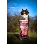 Marp Holistic Grain Free Salmon 12 kg – Zboží Dáma