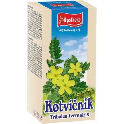 Apotheke Kotvičník čaj 40 x 1,5 g