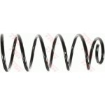 JCS200 TRW Pruzina podvozku – Sleviste.cz