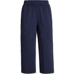 Under Armour Unstoppable Flc Grid Crop-BLU 1386492-410 – Hledejceny.cz