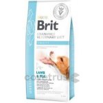 Brit Veterinary Diets Dog Obesity 2 kg – Sleviste.cz