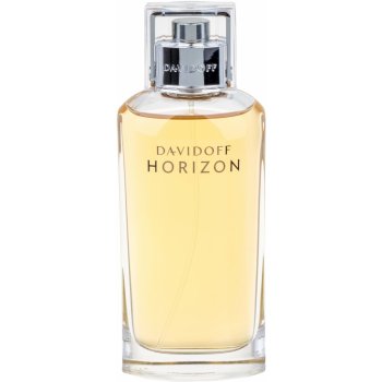 Davidoff Horizon toaletní voda pánská 125 ml