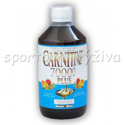 Nutristar Carnitine 70000 500 ml – Zboží Mobilmania