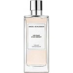 Angel Schlesser Les Eaux D'Un Instant Vibrant Sandalwood toaletní voda pánská 100 ml – Hledejceny.cz