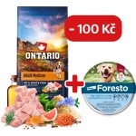 Ontario Adult Medium Fish & Brown Rice 12 kg – Zboží Dáma