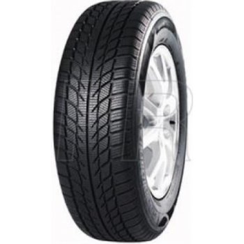 Goodride SW608 205/45 R17 88V