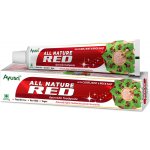 Ayusri Ájurvédská RED 100 g – Hledejceny.cz