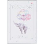 Wrendale Designs Milníkové karty Wrendale Designs - Můj první rok – Hledejceny.cz