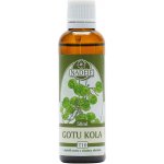Naděje Gotu Kola Bráhmí 50 ml tinktura z bylin – Hledejceny.cz