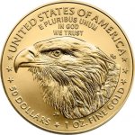 United States Mint Zlatá mince American Eagle 2024 1 oz 1 oz – Zboží Mobilmania