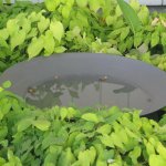 Ella Doris Ottawa 120 – Hledejceny.cz