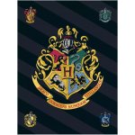 Javoli Fleecová deka Harry Potter s erbem čarodějnické školy v Bradavicích – Zboží Dáma