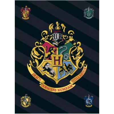 Javoli Fleecová deka Harry Potter s erbem čarodějnické školy v Bradavicích – Zboží Dáma