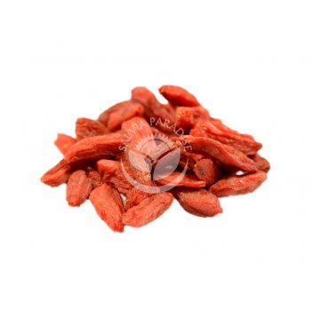 Salvia Paradise Kustovnice čínská Goji 1 kg