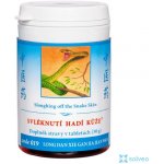 TCM Herbs Svléknutí hadí kůže 100 tablet – Hledejceny.cz