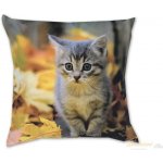 Dadka Fotopolštář Kotě s listím 40x40 – Zboží Dáma