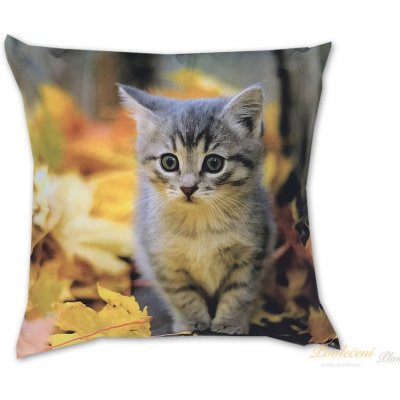 Dadka Fotopolštář Kotě s listím 40x40 – Zboží Dáma
