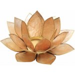 Nefertitis Svícen lotos zlatobéžový NF8270 - cca 13,5 cm – Hledejceny.cz