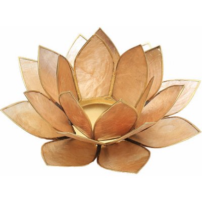 Nefertitis Svícen lotos zlatobéžový NF8270 - cca 13,5 cm – Hledejceny.cz