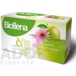 Biogena Fantastic Tea Jablko a Echinacea 20 x 2 g – Zboží Mobilmania