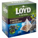 Loyd pyramids ostružiny borůvky ovocný čaj 50 x 2 g