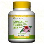 MedPharma Echinacea 100 mg + VitamínC 500 mg + Zinek 10 mg 120 tablet – Hledejceny.cz