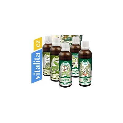 Kúra K47 lymfa 5 lahviček 250 ml – Hledejceny.cz