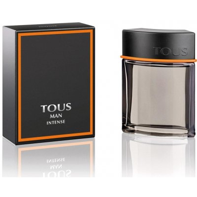 Tous Man Intense toaletní voda pánská 100 ml – Hledejceny.cz