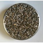 Avicentra Slunečnice žíhaná 25 kg – Zbozi.Blesk.cz