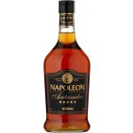 Fernet Stock Napoleon Ambassador 28% 0,7 l (holá láhev) – Sleviste.cz