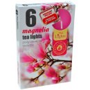 Admit Tea Lights Magnolia 6 ks