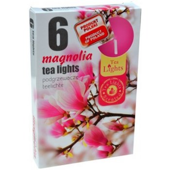 Admit Tea Lights Magnolia 6 ks