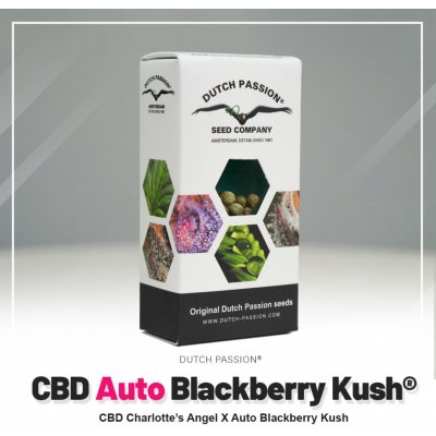 Dutch Passion CBD AUTO Blackberry Kush semena neobsahují THC 3 ks – Zboží Mobilmania