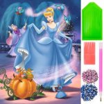 Norimpex Diamantové malování Popelka 30 x 40 cm – Hledejceny.cz