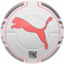 Puma EvoPower 1 Statement Fifa Approved