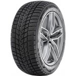 Radar Dimax Alpine 195/65 R15 91H – Zbozi.Blesk.cz