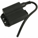 Řídící jednotka, zapalovací systém IP000134 IP000134 – Hledejceny.cz