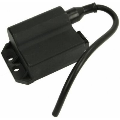Řídící jednotka, zapalovací systém IP000134 IP000134 – Hledejceny.cz