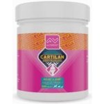 Altervet Cartilan MSM+kurkumin 130 g 100 tbl – HobbyKompas.cz