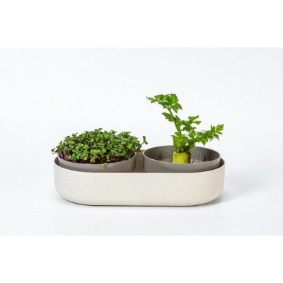 Klíčící miska MICROGREENS + Regrow - slonová kost – Zbozi.Blesk.cz