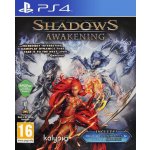 Shadows: Awakening – Zboží Dáma