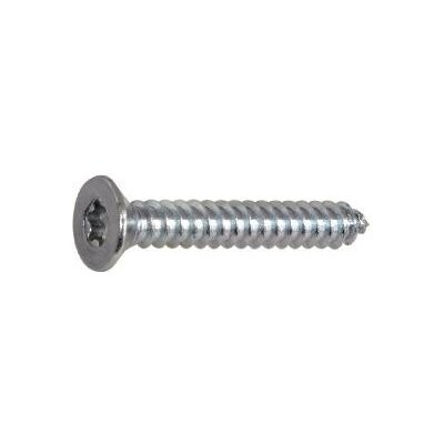 DIN7982C 2.9x 13 Torx10 pozink zápustná hlava vrut do plechu ~ISO14586 (2000 ks) – Hledejceny.cz