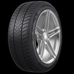 Triangle WinterX TW401 205/55 R17 95V