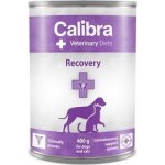 Calibra Veterinary Diets Dog Renal 400 g – Hledejceny.cz
