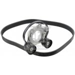 Sada zebrovanych klinovych remenu FEBI BILSTEIN 187723 – Zboží Mobilmania